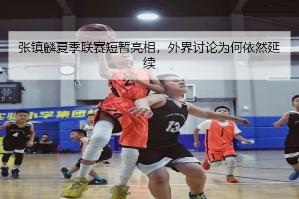 张镇麟夏季联赛短暂亮相，外界讨论为何依然延续